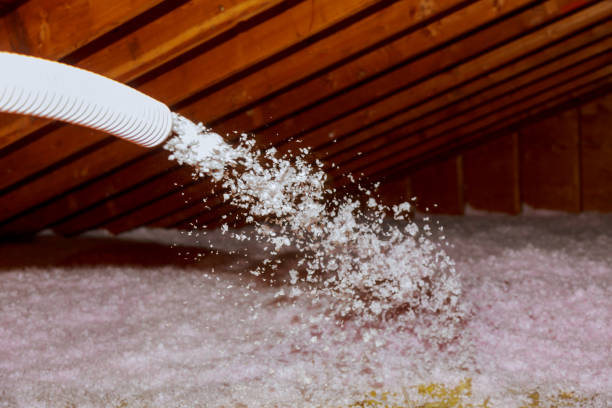 Best Energy Efficiency Solutions in Garrison, TX